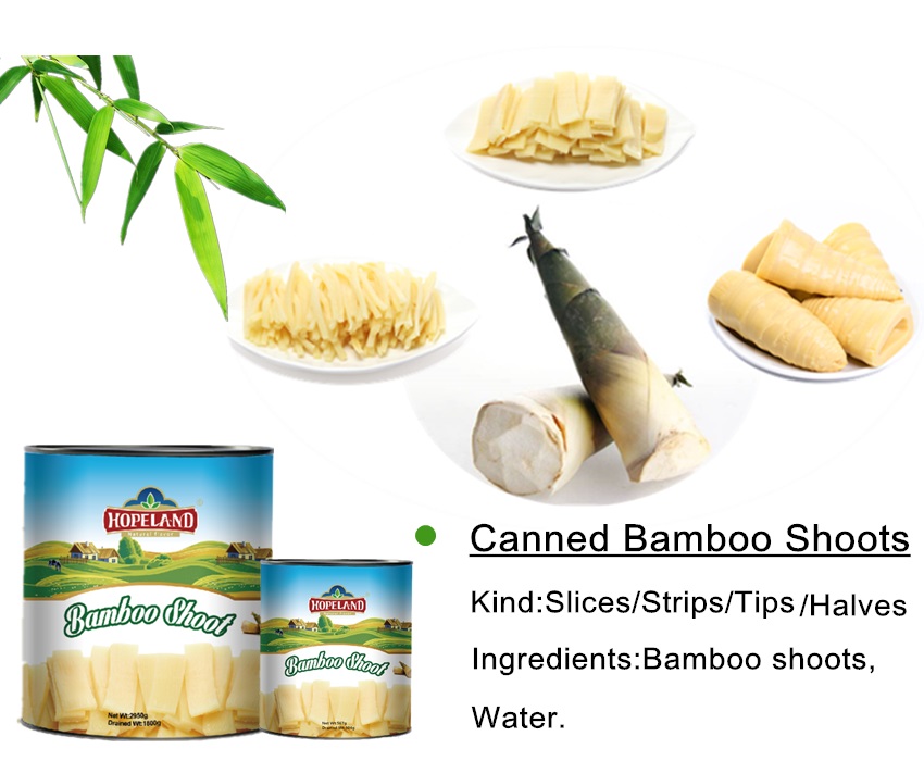 Canned Bamboo Shoots