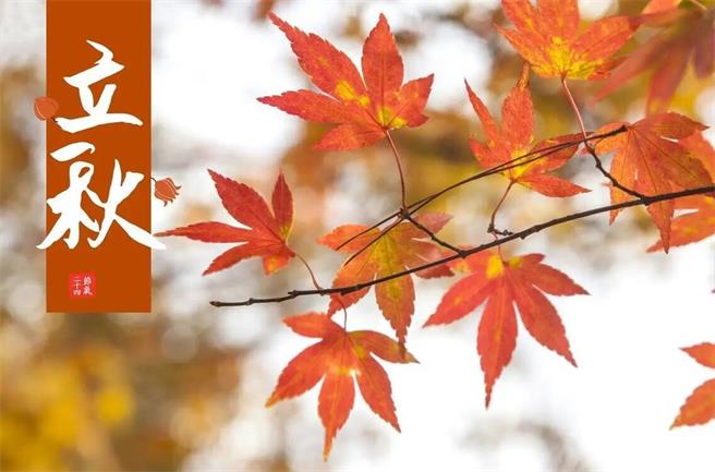 What is the meaning and symbol of What is the meaning and symbol of