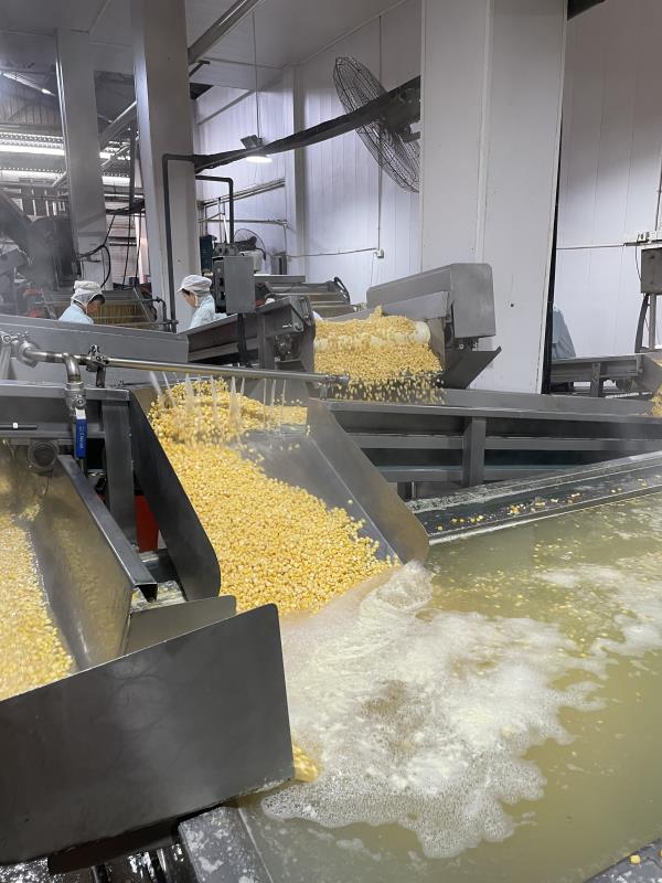 canning whole kernel corn