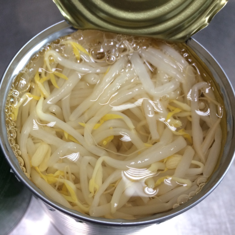 Canned Bean Sprouts Factory