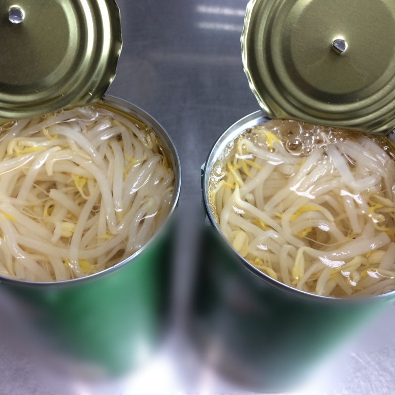 Canned Bean Sprouts Factory