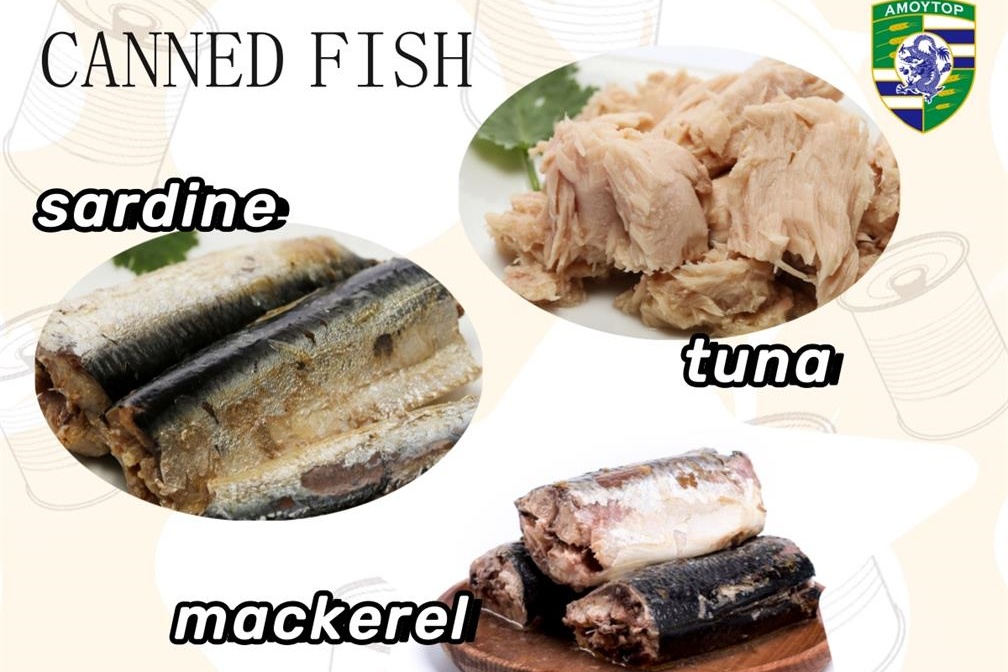 canned mackerel