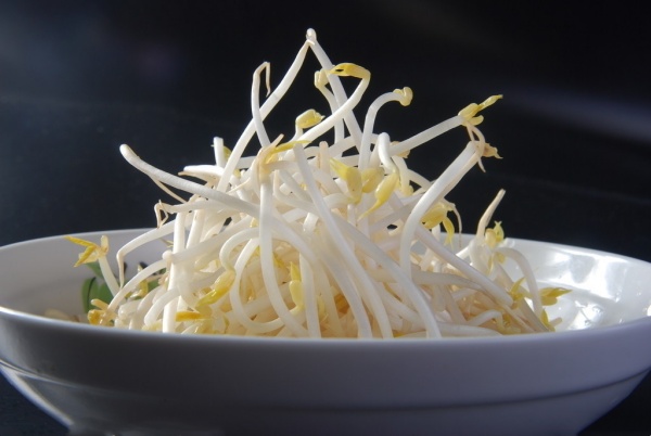 Are Canned Bean Sprouts Good? Are Canned Bean Sprouts Good?