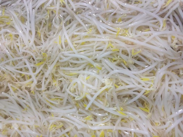 mung bean sprouts canned