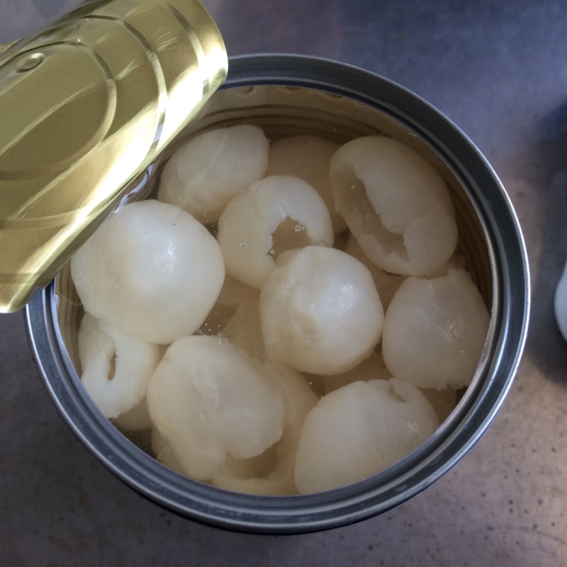 Canned Longan Factory