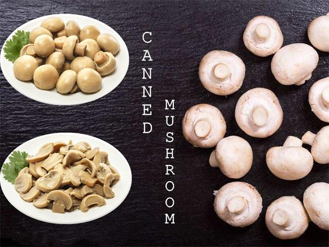 Discover the Irresistible Flavor of Canned Mixed Mushrooms Discover the Irresistible Flavor of Canned Mixed Mushrooms