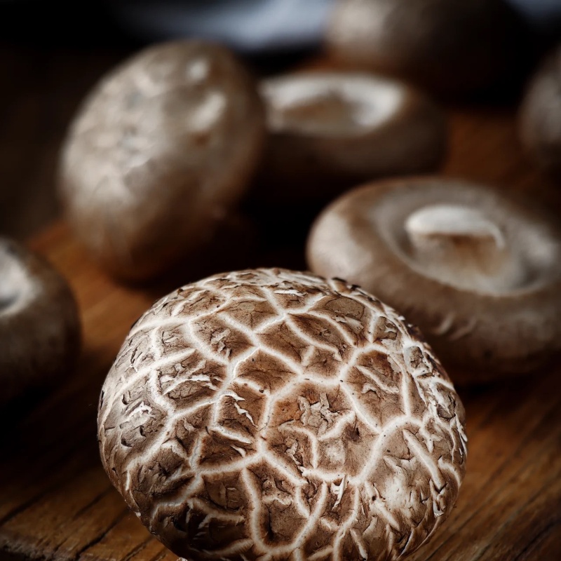 canned shiitake mushrooms