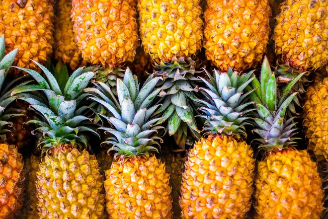 Beneficios de la piña para la salud: un tesoro tropical para el bienestar Beneficios de la piña para la salud: un tesoro tropical para el bienestar