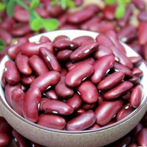 Canned Red Kidney Beans