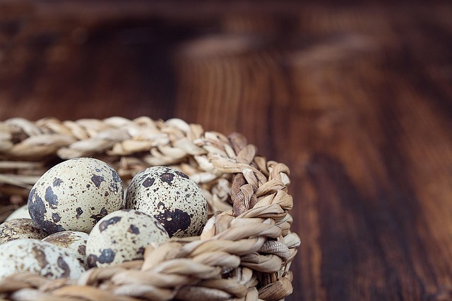Quail Eggs: A Nutritional Powerhouse for a Healthier Lifestyle