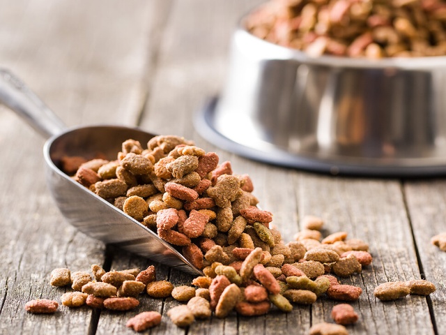 The Benefits of Canned Dog Food: Chicken, Beef, and More for Your Pet's Nutritional Needs
