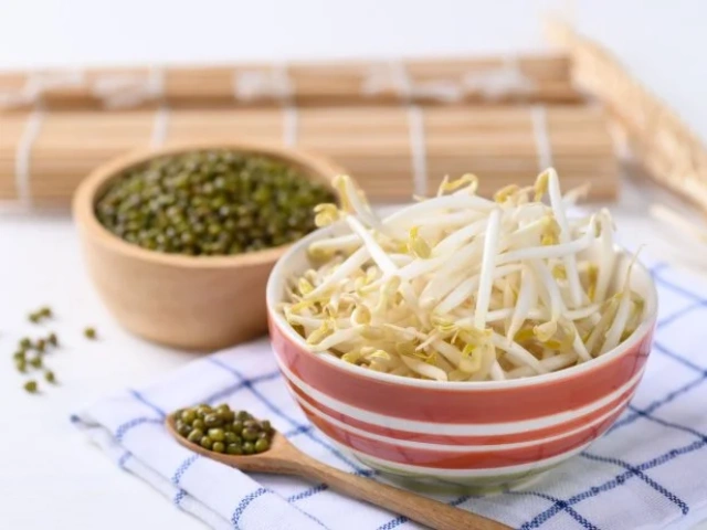 Canned Mungbean Sprouts