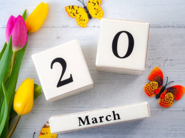 Alimentos enlatados para el equinoccio de primavera: una combinación perfecta de salud y comodidad