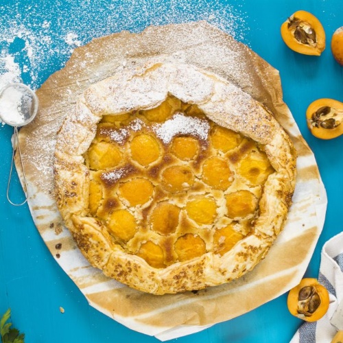 Canned Loquat