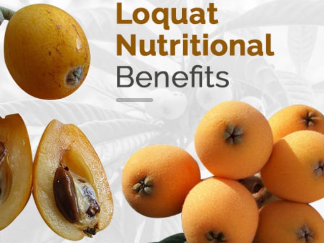 7 beneficios sorprendentes de los nísperos 7 beneficios sorprendentes de los nísperos