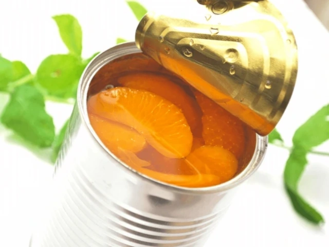 Exportaciones de naranjas enlatadas de China en el primer trimestre de 2025: un análisis exhaustivo Exportaciones de naranjas enlatadas de China en el primer trimestre de 2025: un análisis exhaustivo