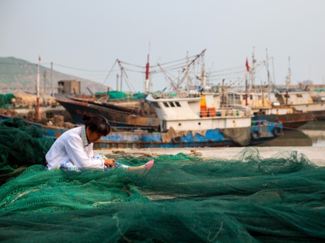 La moratoria de pesca ya está aquí, ¡pero lo tenemos cubierto! La moratoria de pesca ya está aquí, ¡pero lo tenemos cubierto!