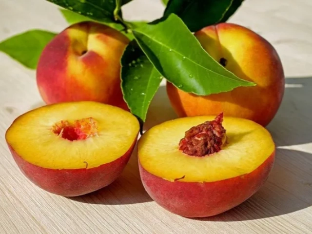 Alerta de nueva temporada | Duraznos amarillos premium enlatados, próximamente