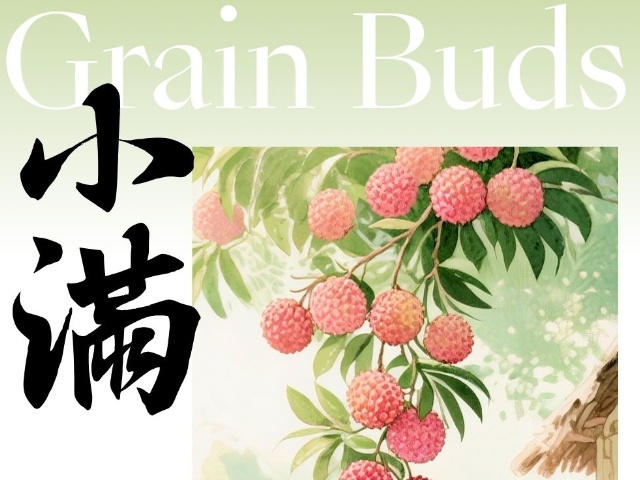 Xiaoman: Cuando los granos empiezan a crecer: una celebración de la abundancia y la preservación Xiaoman: Cuando los granos empiezan a crecer: una celebración de la abundancia y la preservación