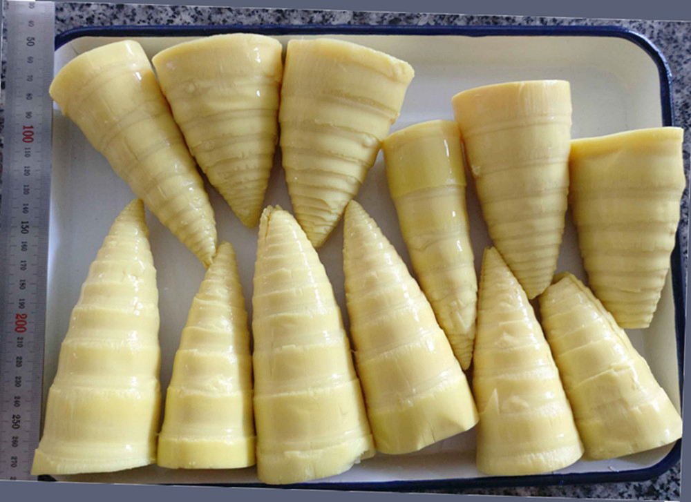 Bamboo Shoots
