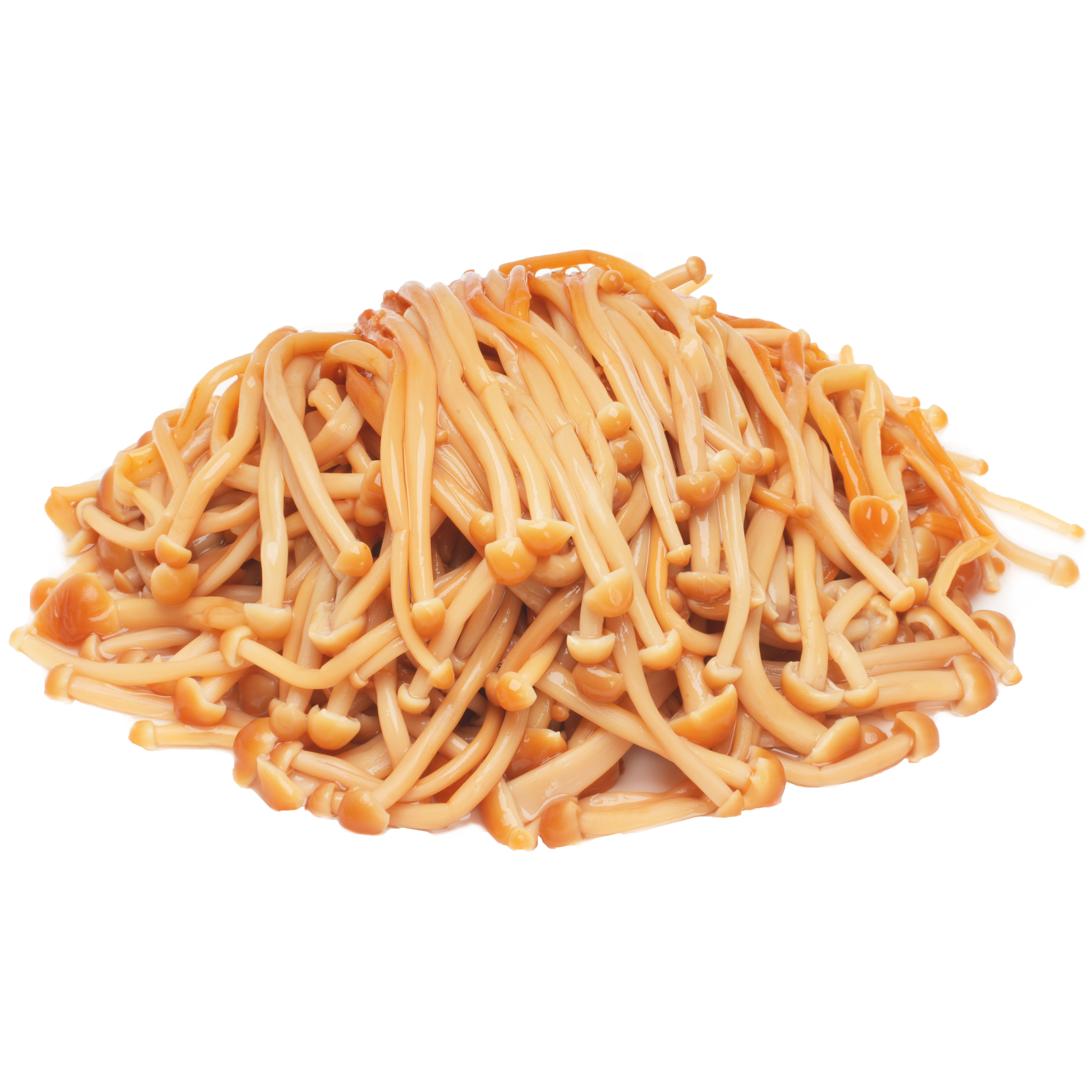 Canned Golden Mushroom