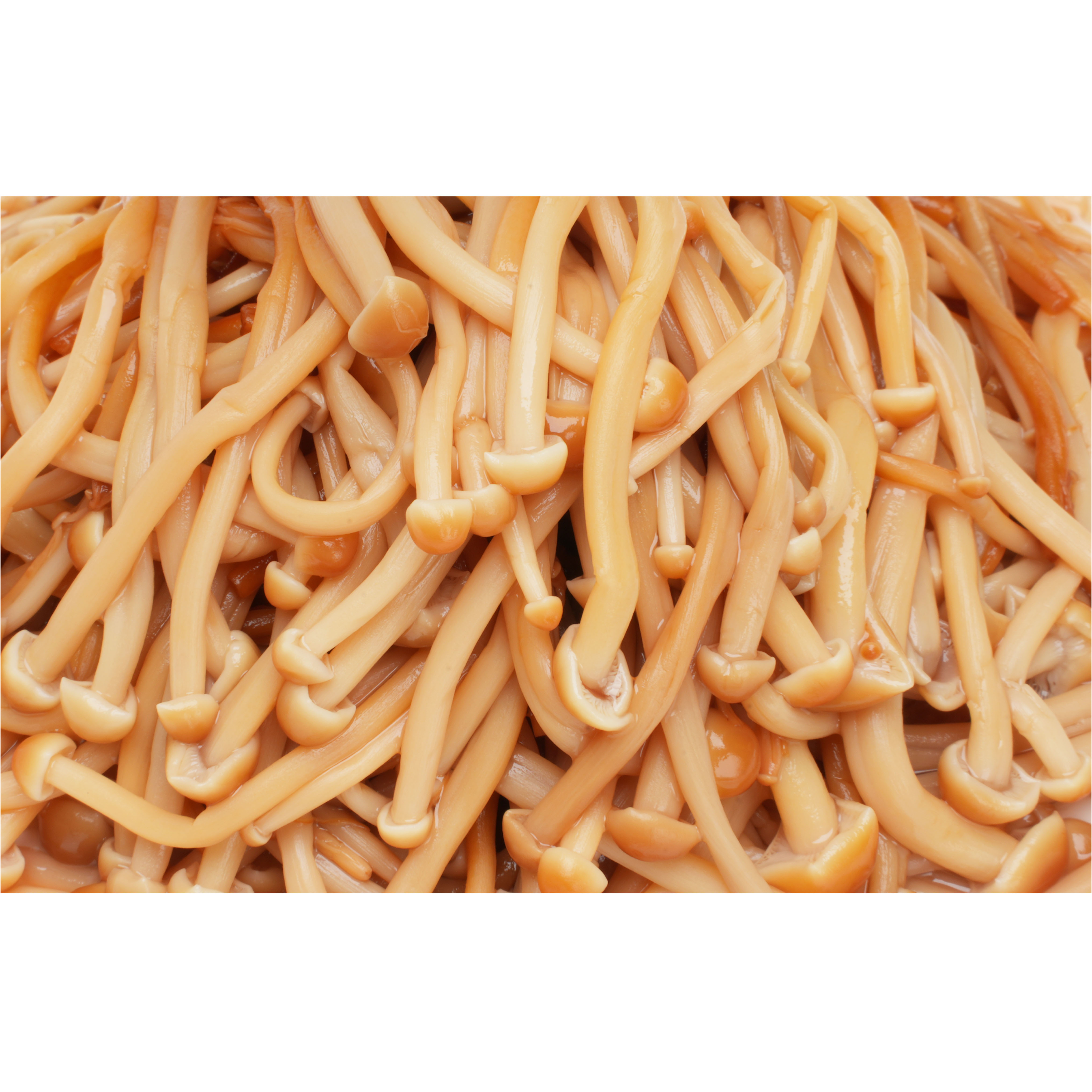 Canned Golden Mushroom