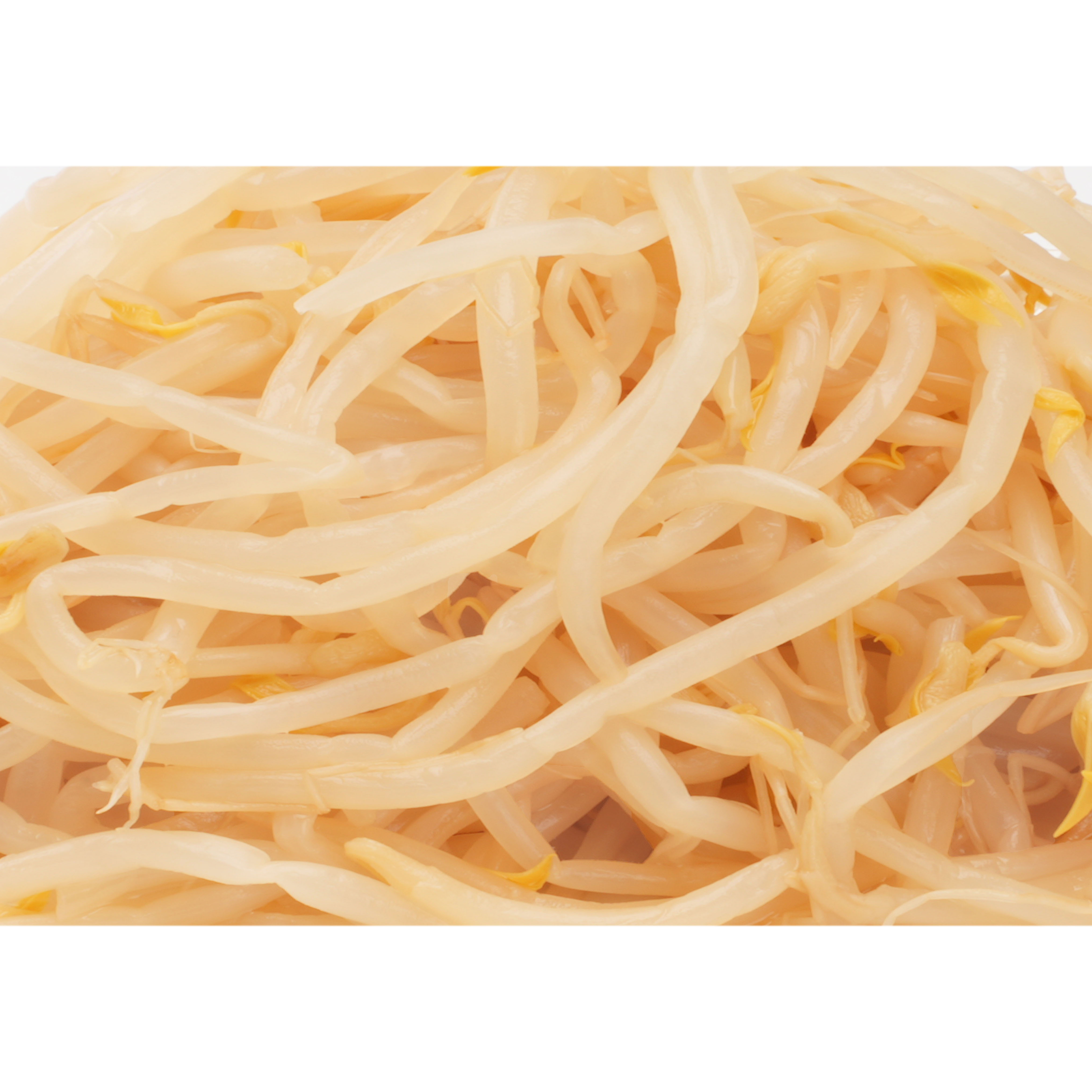 Canned Bean Sprouts