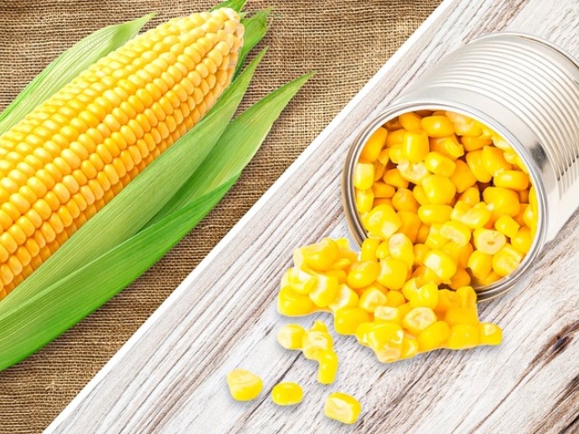 Benefits of Canned Sweet Corn Benefits of Canned Sweet Corn