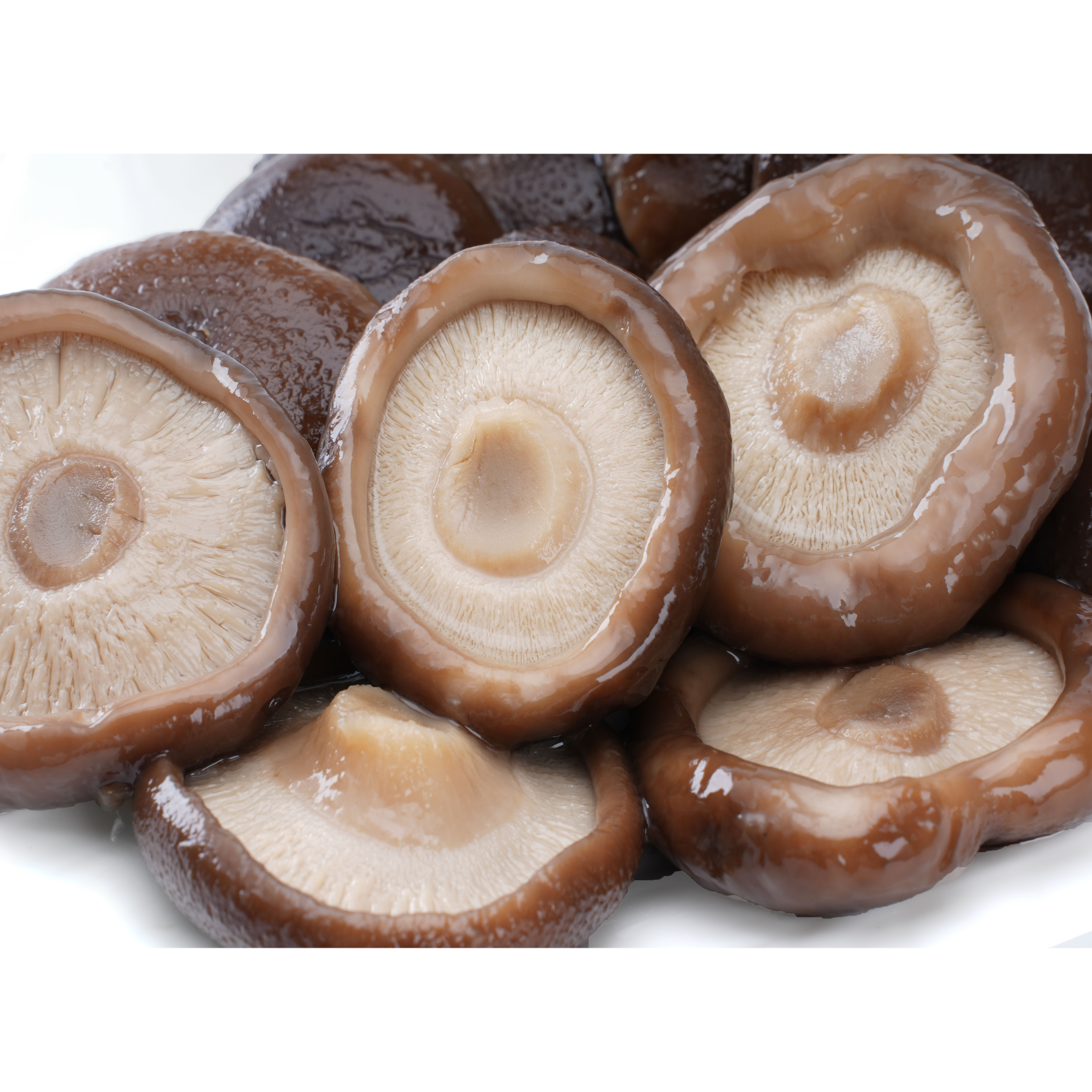 Acheter Conserves de champignons shiitake,Conserves de champignons shiitake Prix,Conserves de champignons shiitake Marques,Conserves de champignons shiitake Fabricant,Conserves de champignons shiitake Quotes,Conserves de champignons shiitake Société,