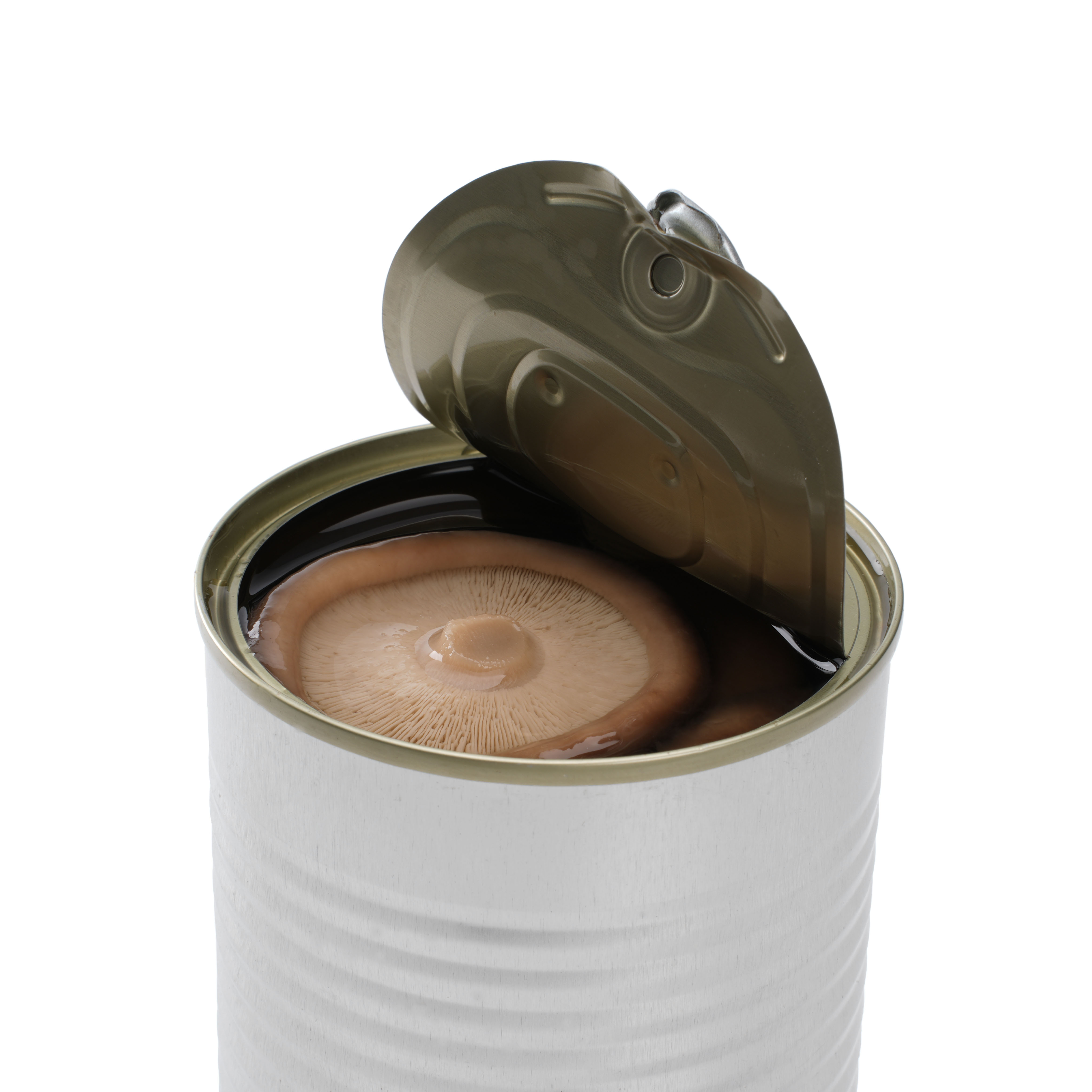Acheter Conserves de champignons shiitake,Conserves de champignons shiitake Prix,Conserves de champignons shiitake Marques,Conserves de champignons shiitake Fabricant,Conserves de champignons shiitake Quotes,Conserves de champignons shiitake Société,