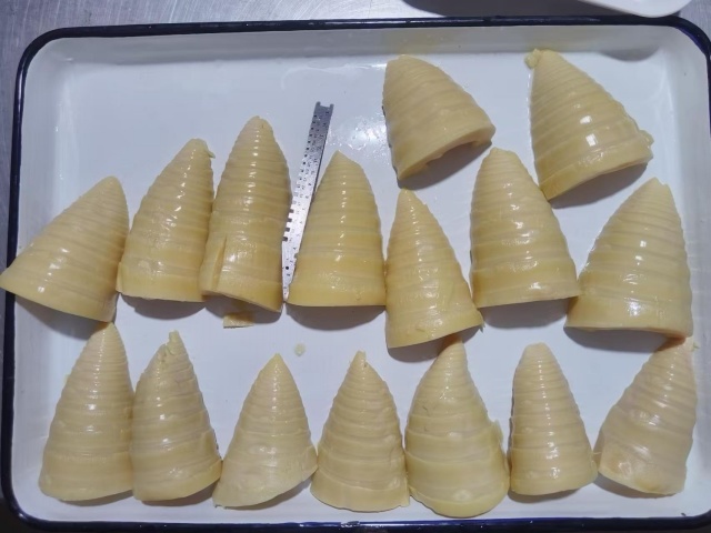bamboo shoot halves