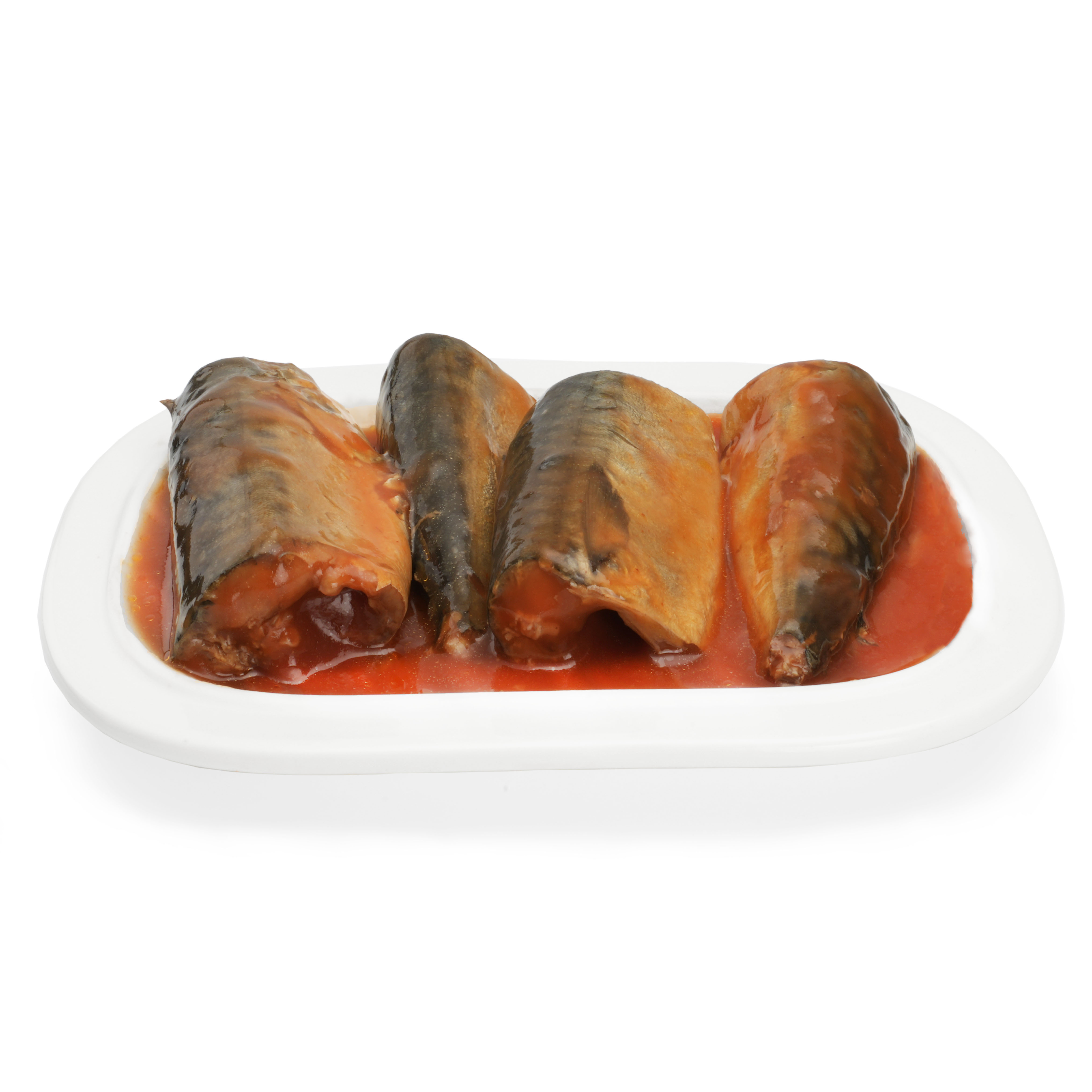 Canned Fish