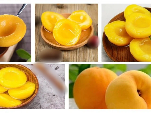 Carta de notificación: La temporada de duraznos amarillos enlatados está llegando a su fin. Confirme sus pedidos lo antes posible. Carta de notificación: La temporada de duraznos amarillos enlatados está llegando a su fin. Confirme sus pedidos lo antes posible.