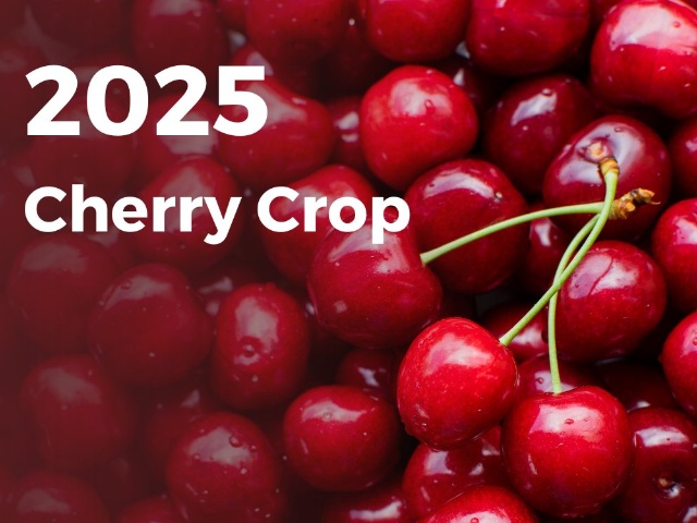 Cherry