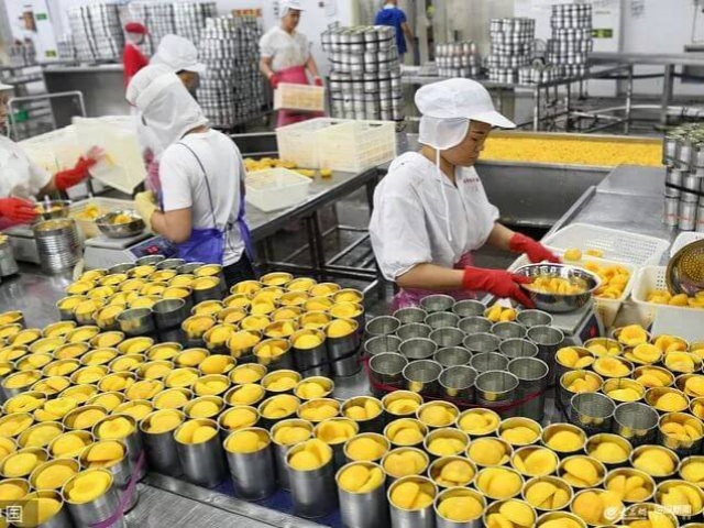 Canned Fruits