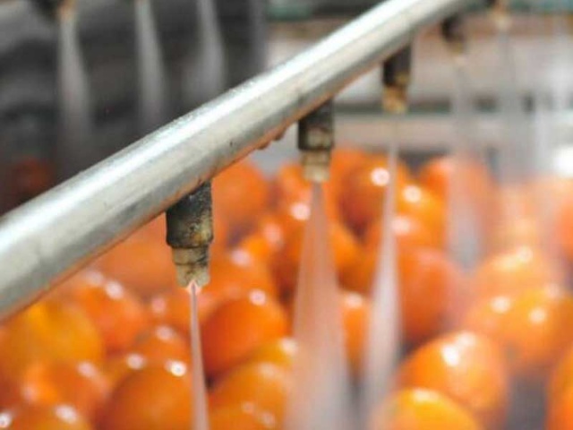 ¿Por qué es importante lavar la fruta? ¿Por qué es importante lavar la fruta?