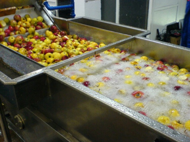 ¿Cómo elegir la mejor lavadora de frutas? ¿Cómo elegir la mejor lavadora de frutas?