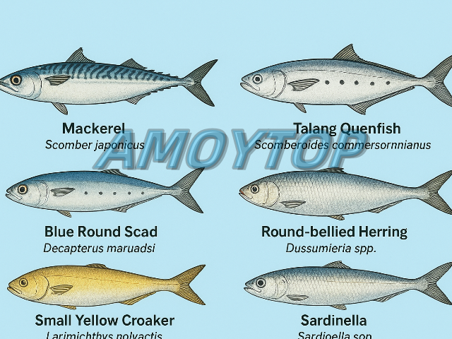 Comparison Chart of Different Fish Species in Canned Fish Products Comparison Chart of Different Fish Species in Canned Fish Products