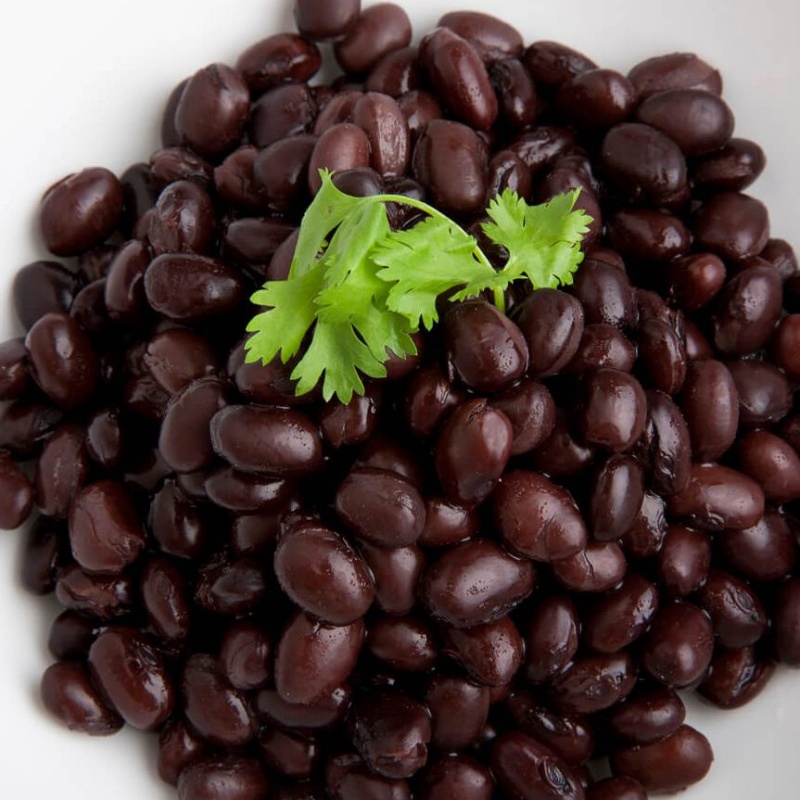 protein