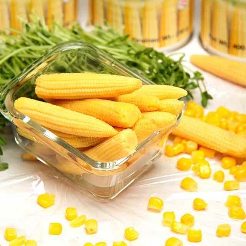 young corn