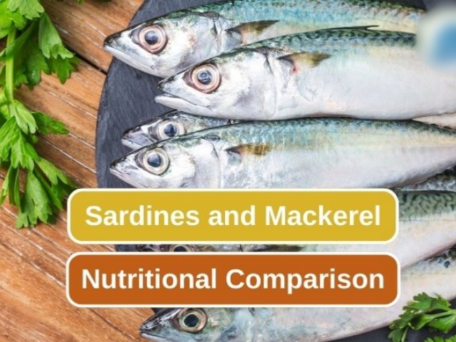 Mackerel vs. Sardine: Which is Better? Mackerel vs. Sardine: Which is Better?