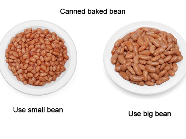 Canned Baked Beans: Small Bean Vs. Big Bean Canned Baked Beans: Small Bean Vs. Big Bean