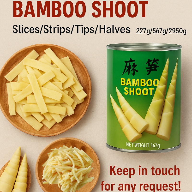 A10 Canned Bamboo Shoots