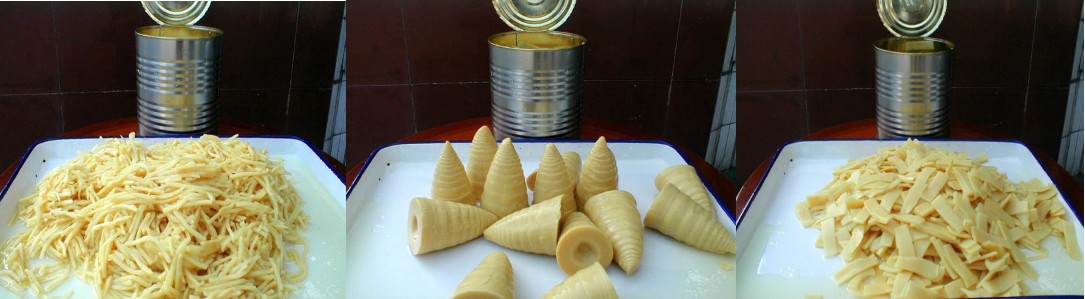 A10 Canned Bamboo Shoots