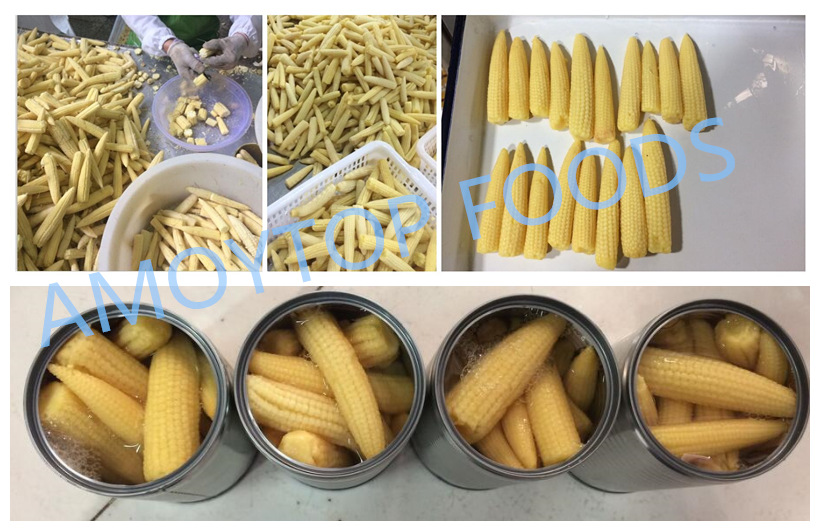 Canned Baby Corn Spears