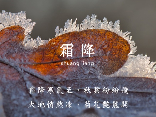 Frost’s Descent: Savoring Warmth and Comfort with Canned Food This Autumn