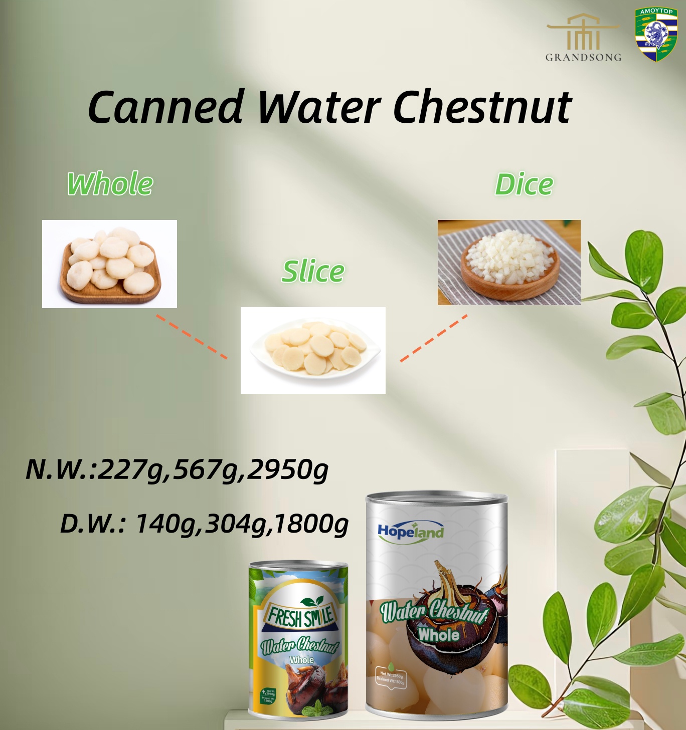 Canned Water Chestnut
