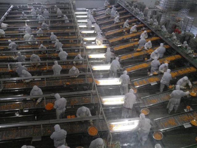 canned mandarin oranges canned mandarin oranges