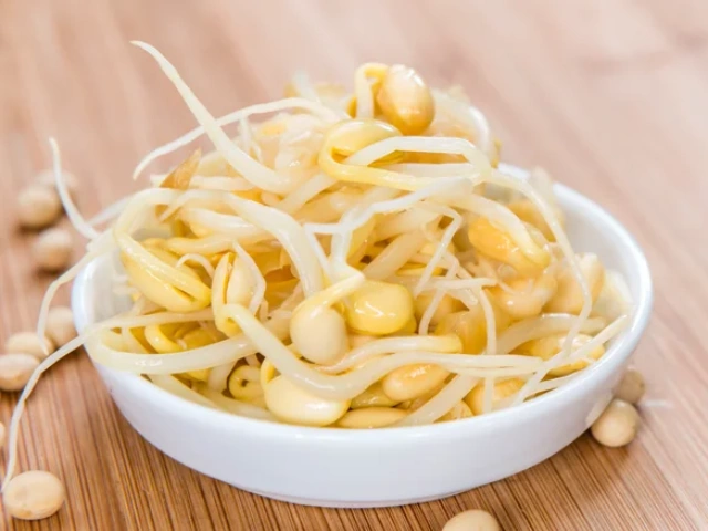 Canned Bean Sprouts