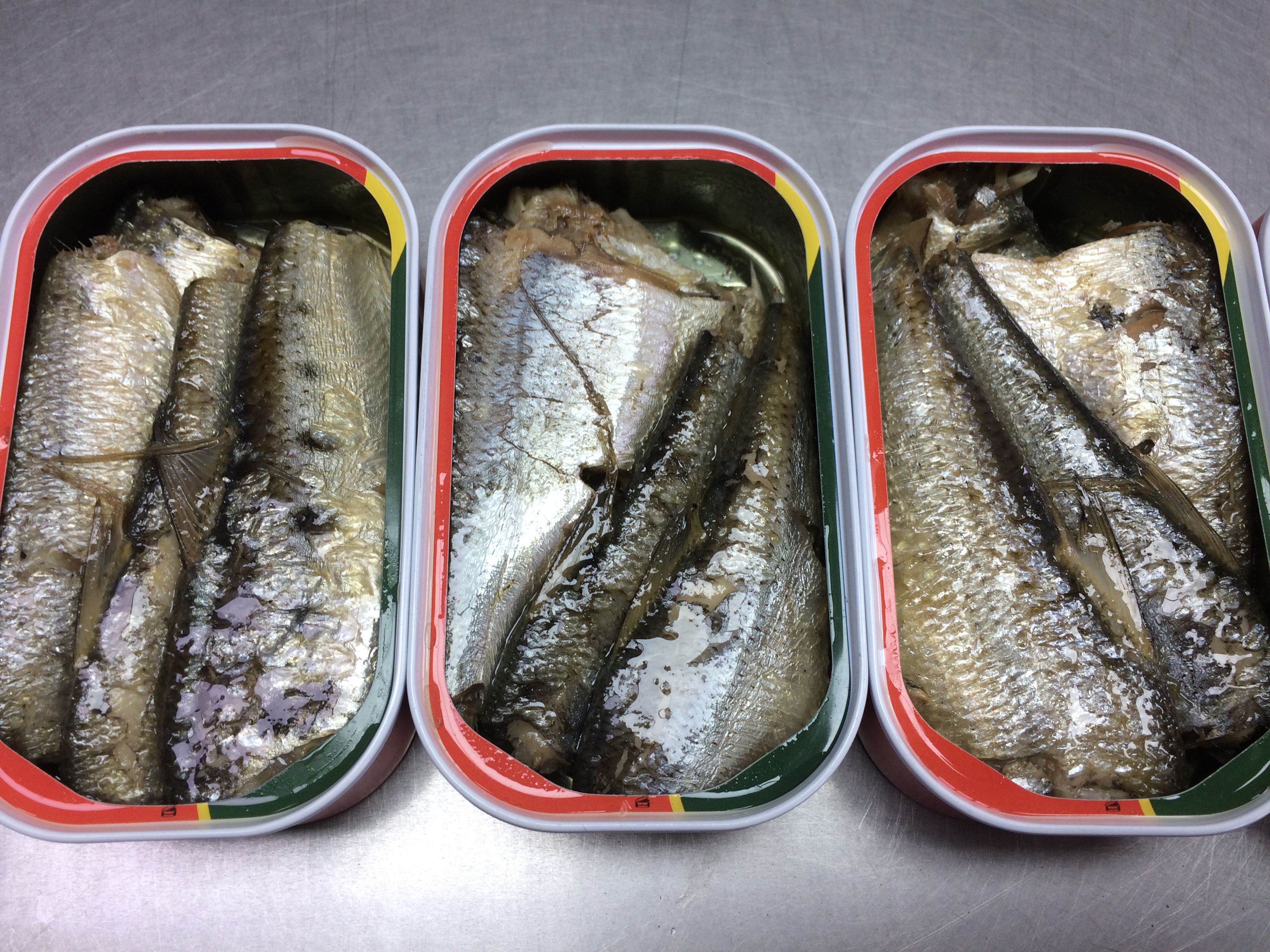 CANNED SARDINES